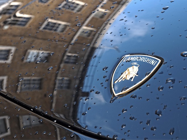 Close-up van het Lamborghini-logo op een natte motorkap – symbool voor exclusieve auto’s die verzekerd kunnen worden via Candor